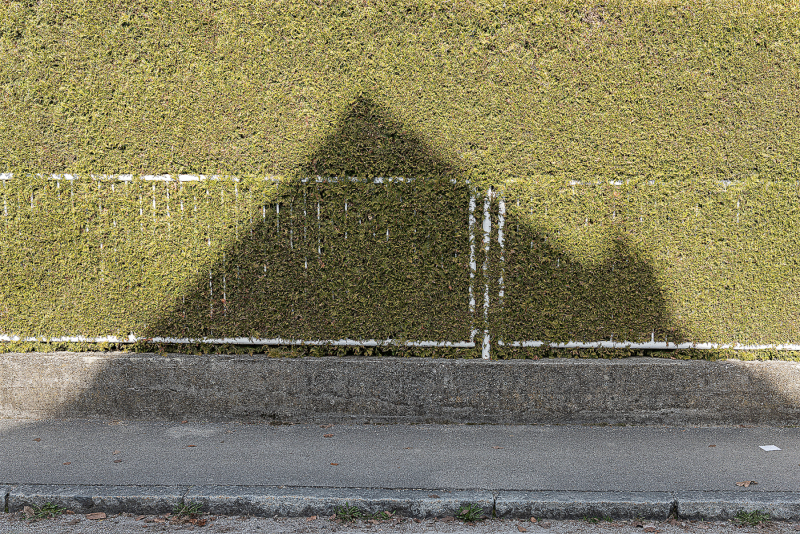 House shadow