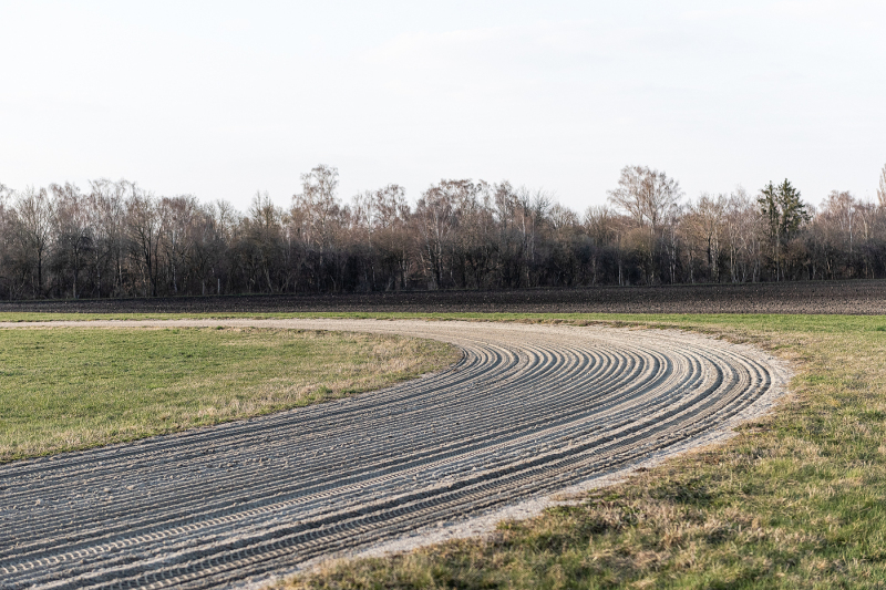 Horse's running course