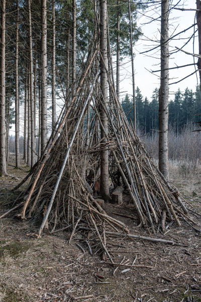 Tree hut